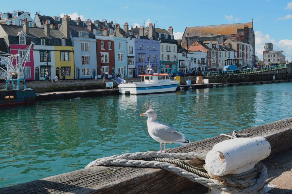 AdobeStock_122931125